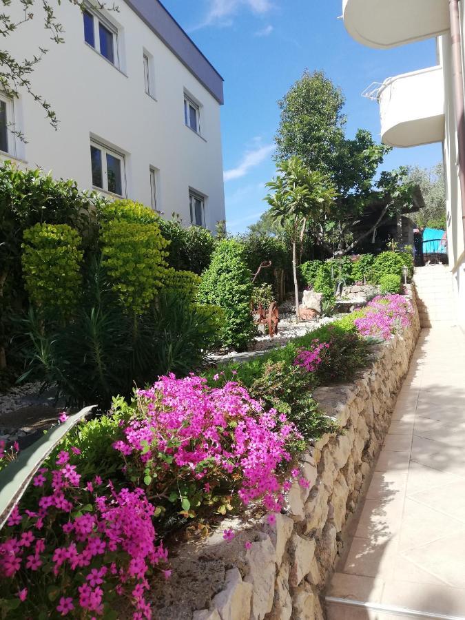 Villa Maslina Zadar Zewnętrze zdjęcie