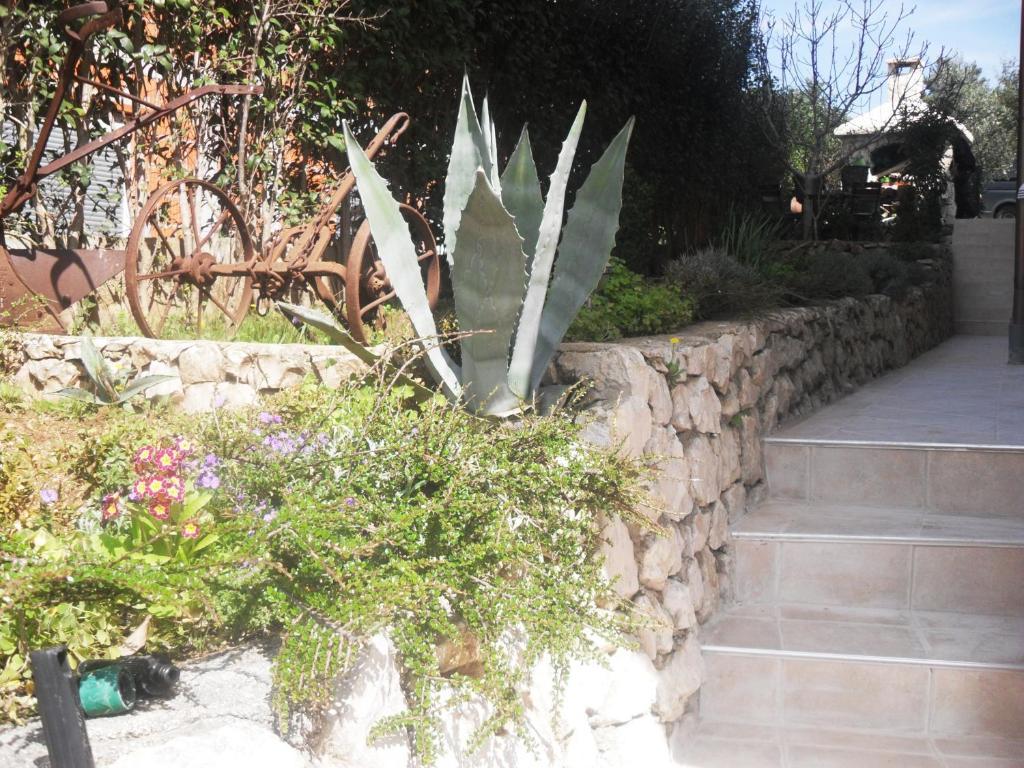 Villa Maslina Zadar Pokój zdjęcie